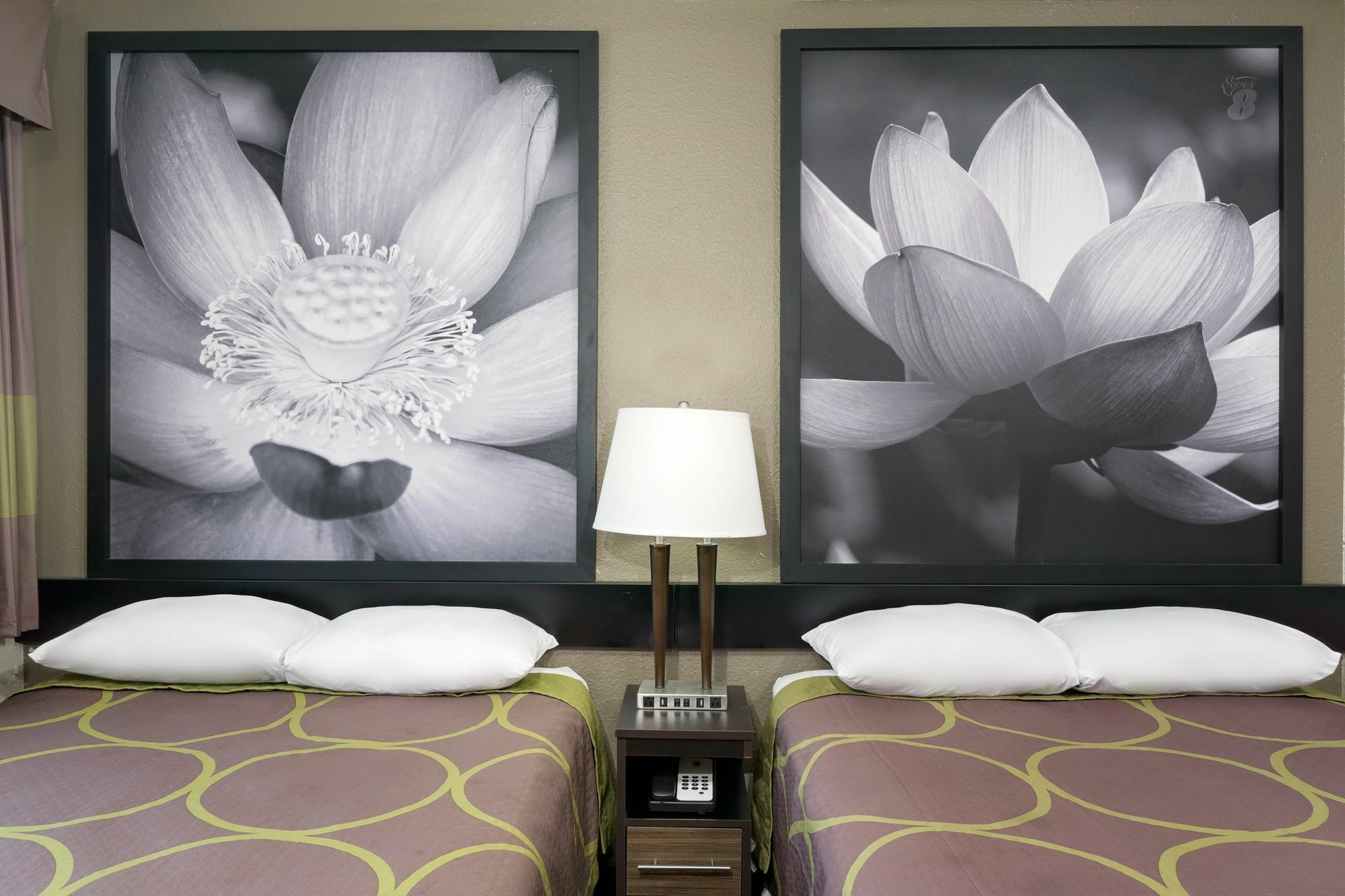 Super 8 By Wyndham Florence Ngoại thất bức ảnh
